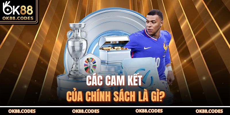 Các cam kết của chính sách là gì?