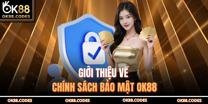 Giới thiệu về chính sách bảo mật OK88